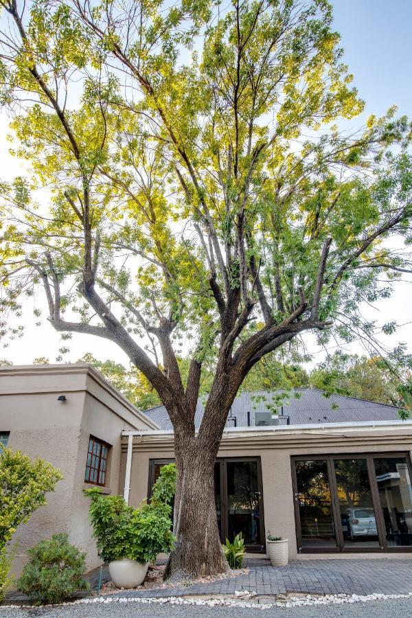 The Nightingale Guesthouse Bloemfontein Eksteriør bilde